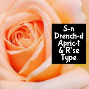 SUN SOAKED ROSE dupe Handmade Women Men Perfume Cologne edp Room Linen Spray Fragrance Beard Massage Bath Dry Oil Scrub Body Spray