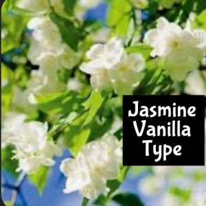 JASMINE & VANILLA (dupe) Moisturize Shimmer Hair Body Splash edp perfume cologne beard bath massage oil room linen fragrance lotion spray