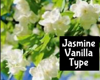 JASMINE & VANILLA (dupe) Moisturize Shimmer Hair Body Splash edp perfume cologne beard bath massage oil room linen fragrance lotion spray