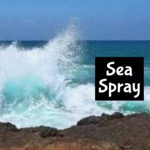 SEA SPRAY Handmade EDP Perfume Men&#39;s Cologne Room Linen Spray Fragrance Massage Beard Beauty Oil Shimmer Moisturizer Lotion Body Splash