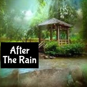 AFTER THE RAIN Handmade edp Cologne Perfume Massage Bath Beauty Body Beard  Fragrance Oil Room Linen Spray mist splash Lotion Shimmer Oil