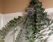 Fresh Eucalyptus Shower Bundle: Aromatherapy Relaxation Gift