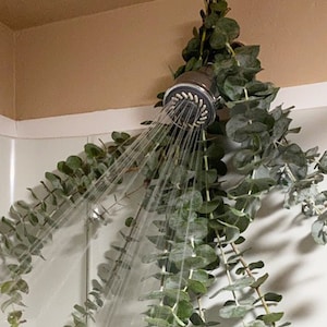 Fresh Spiral Eucalyptus Shower Bundle for Aromatherapy, Shower Relaxation, and Anxiety Great for Housewarming and Gifts For Her and Him