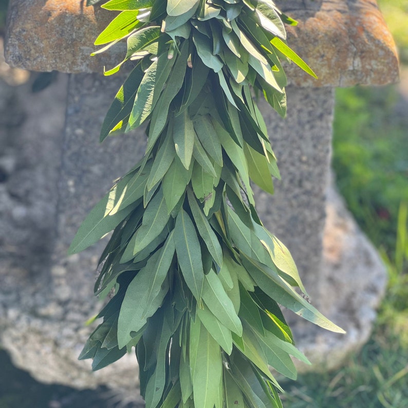 Fresh Handmade Bay Leaf Greenery Wedding Garland Etsy