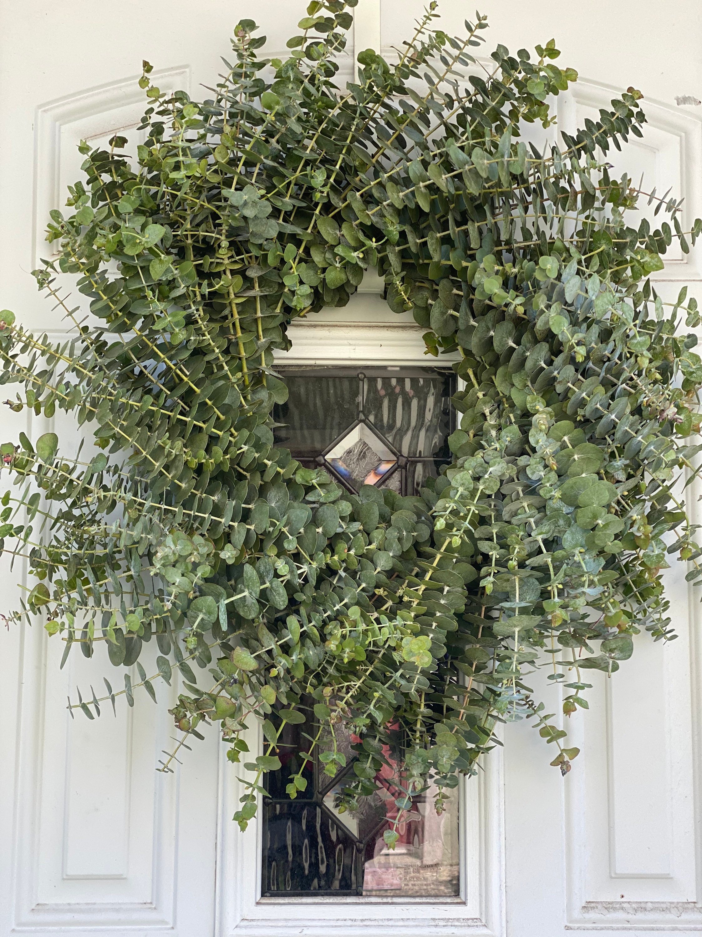 Fresh and Fragrant Handmade Spiral Eucalyptus Greenery 20 in Wreath - Thumbnail 2