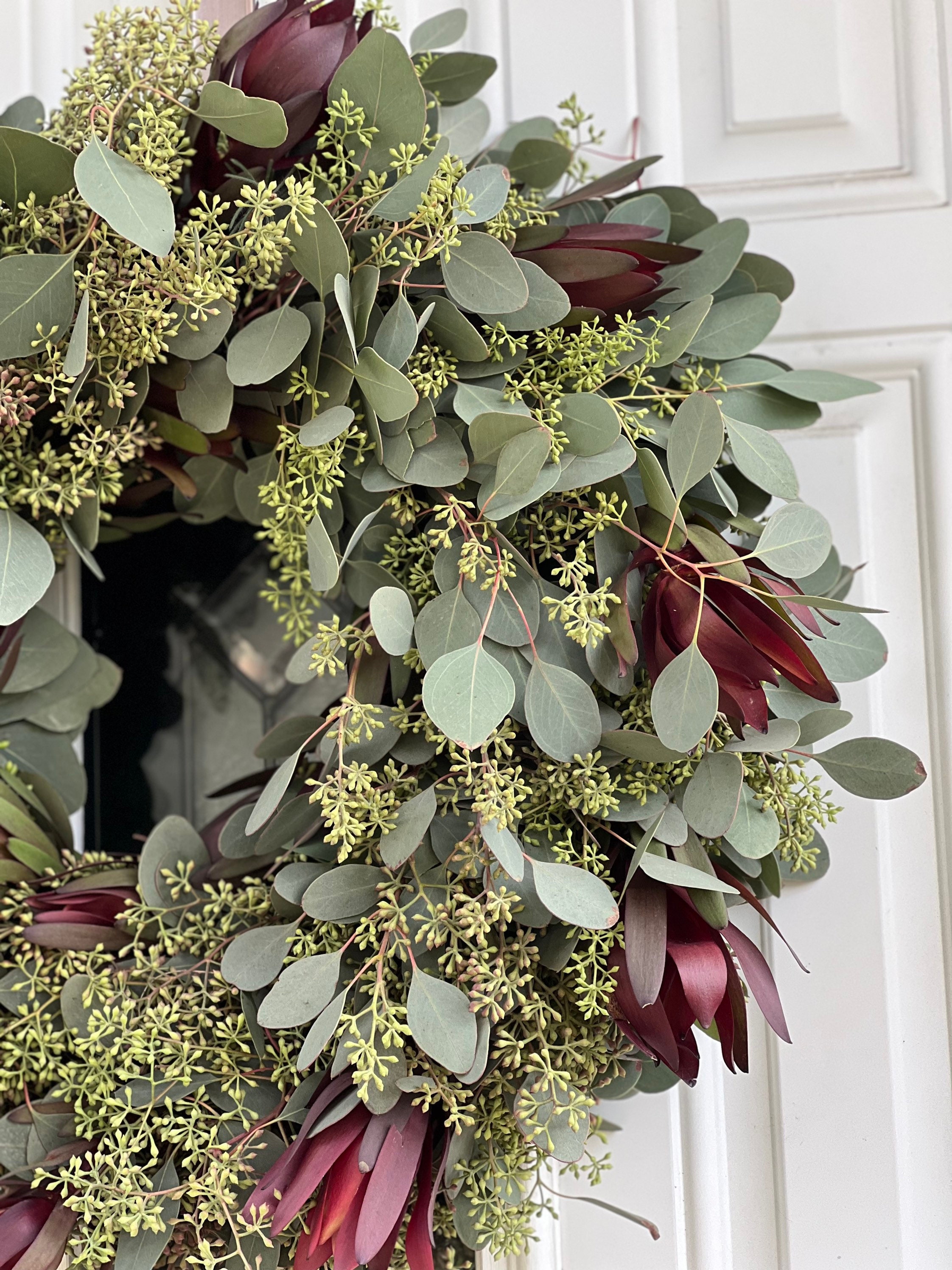 Fresh Wreath, Seeded Eucalyptus and Safari Sunset Leucadendron Winter Christmas Greenery 20 in Wreath (available year round!) - Thumbnail 4