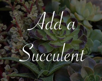 Add A Succulent To Your Bouquet!