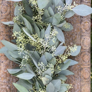 Fresh Seeded Eucalyptus Garland, Handmade with Fresh Greenery, Great for Weddings and Special Occasions image 5