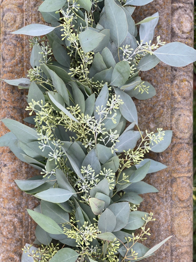 Fresh Seeded Eucalyptus Garland, Handmade with Fresh Greenery, Great for Weddings and Special Occasions image 5