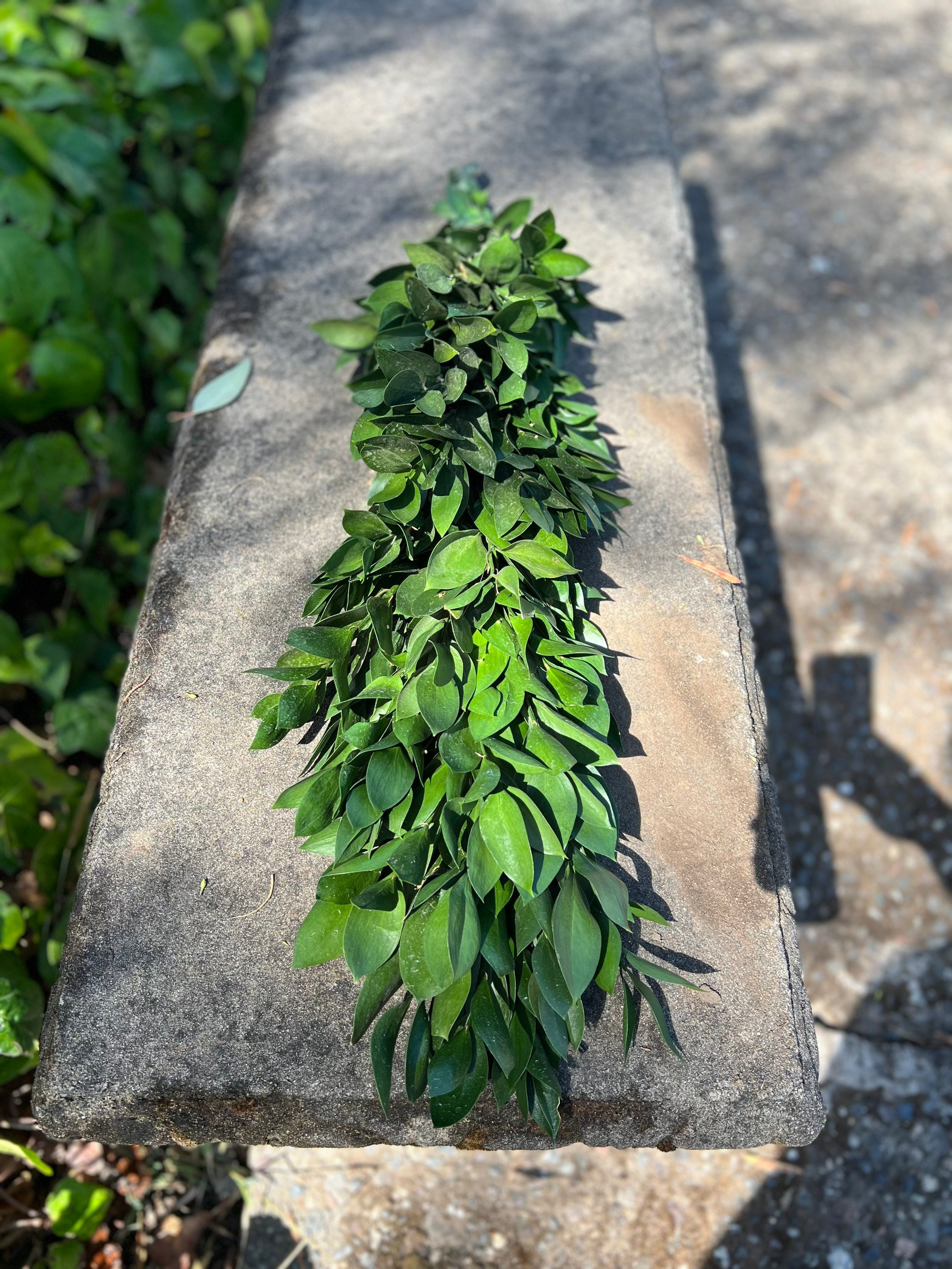 Fresh Handmade Ruscus Garland, Great for Weddings and Events! - Thumbnail 3