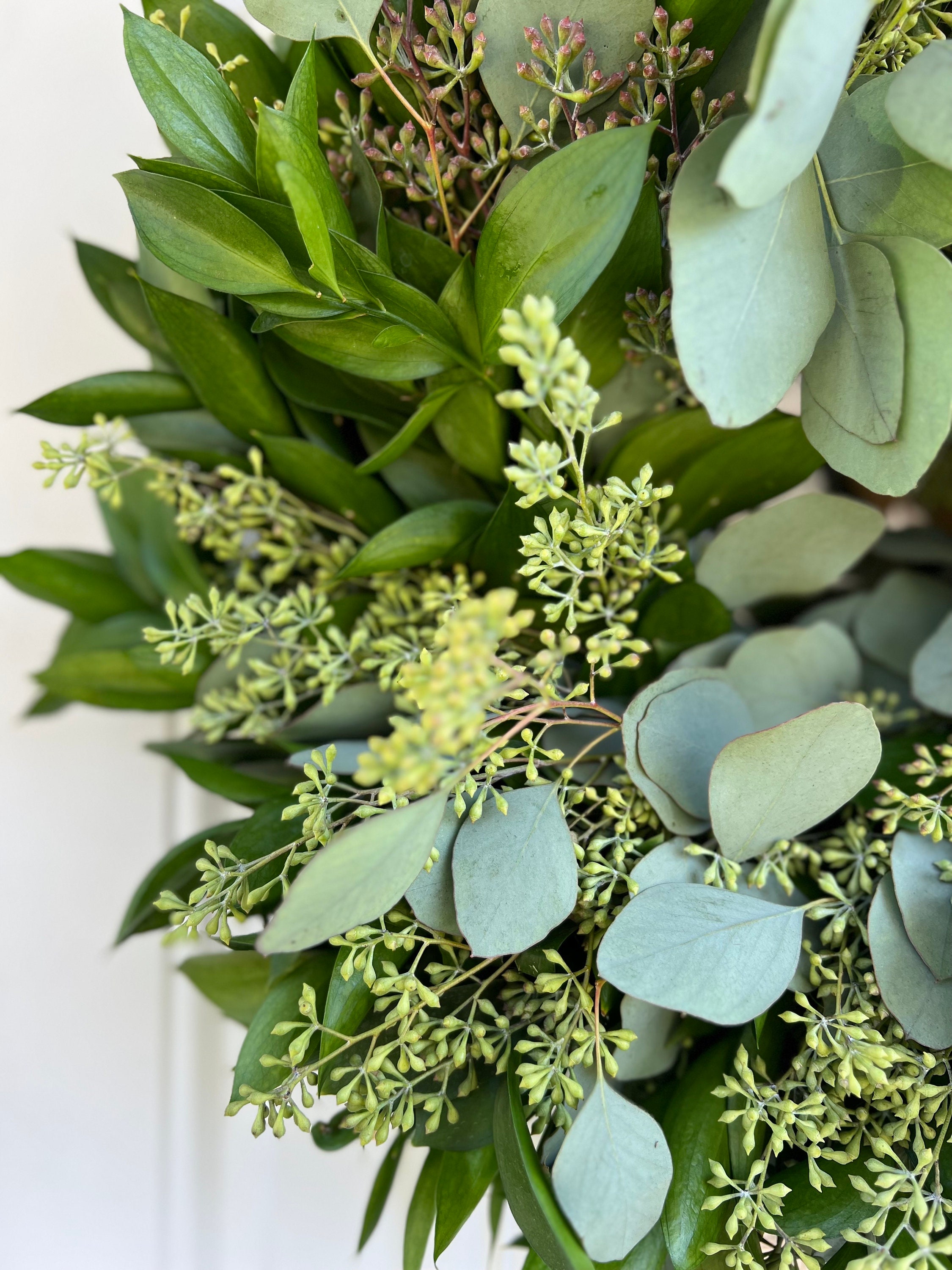Fresh Wreath, Silver Dollar Eucalyptus  and Ruscus Greenery 20 in Wreath (available year round!) - Thumbnail 5