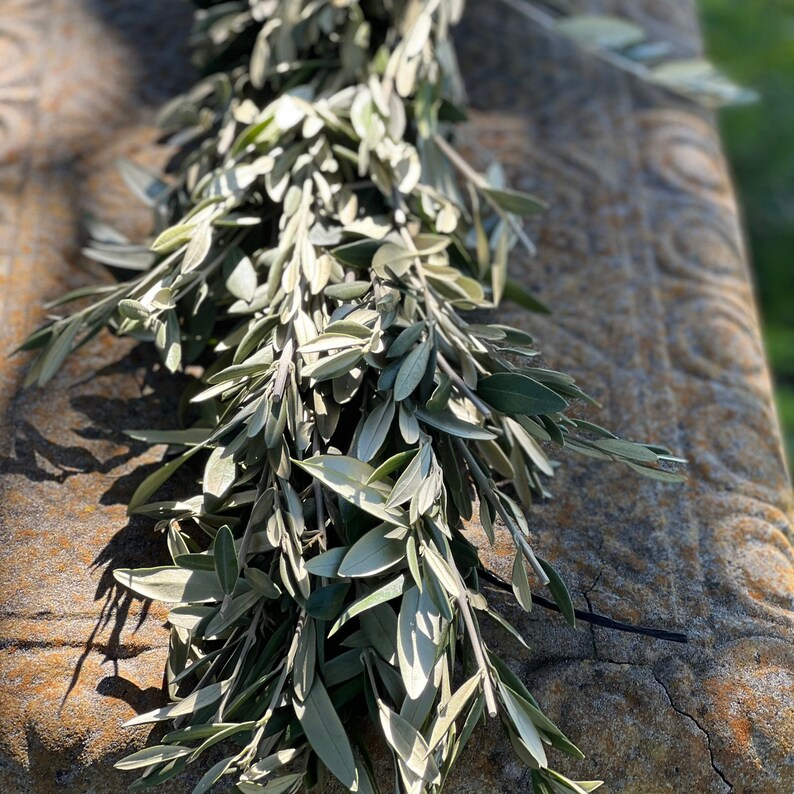 Fresh Olive Branch Greenery Garland Handmade Wedding Garland Etsy