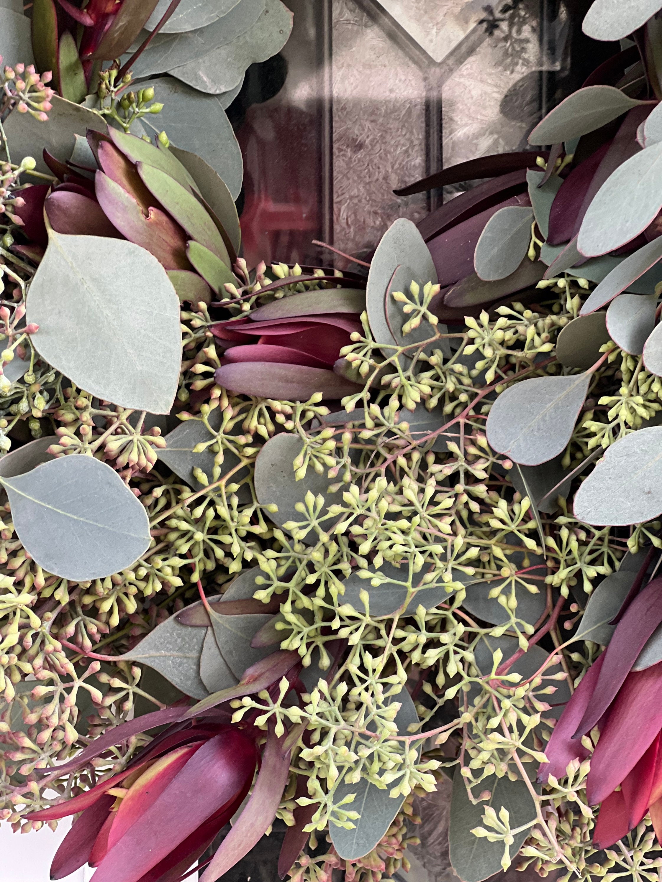 Fresh Wreath, Seeded Eucalyptus and Safari Sunset Leucadendron Winter Christmas Greenery 20 in Wreath (available year round!) - Thumbnail 5