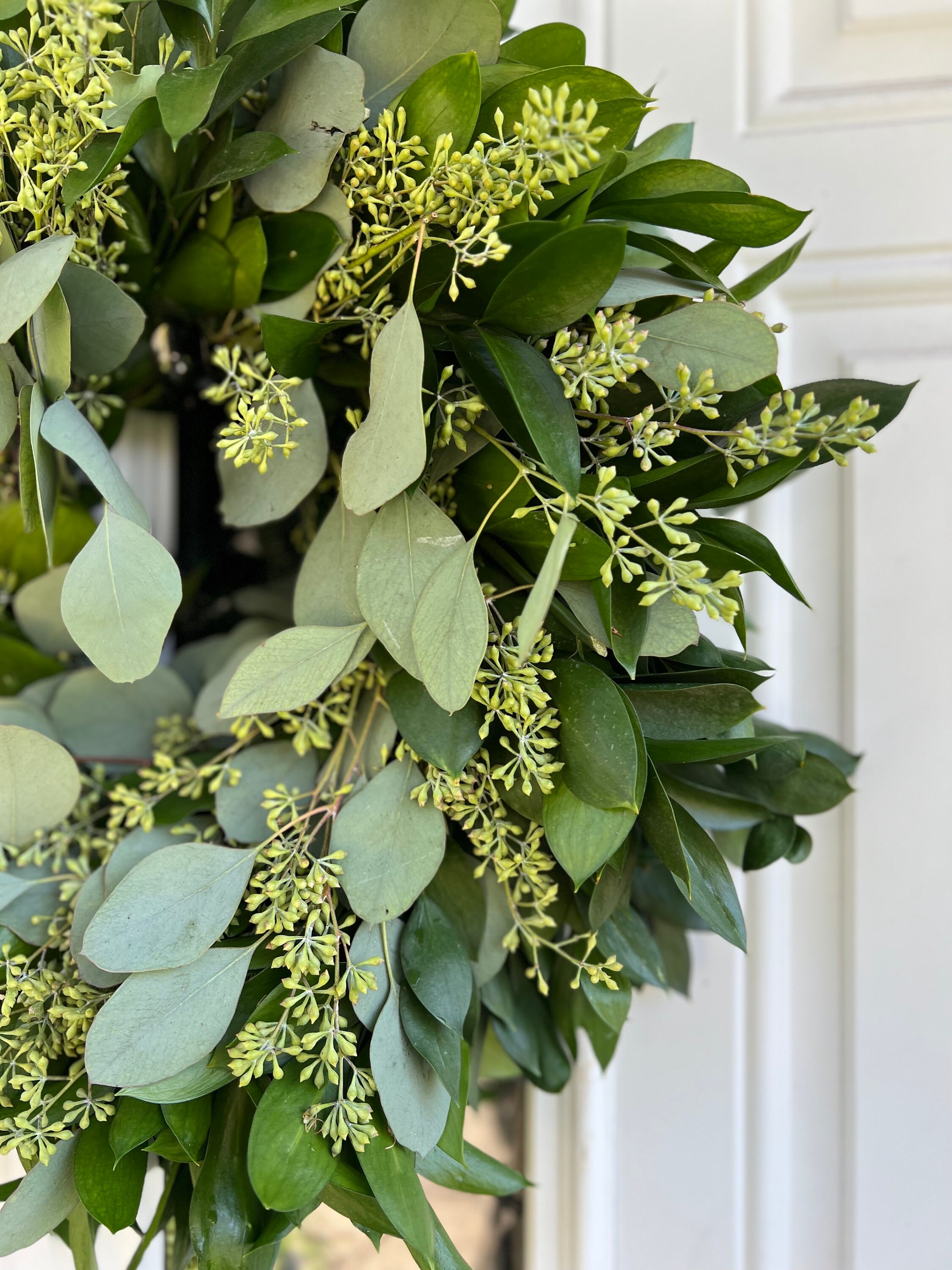 Fresh Wreath, Silver Dollar Eucalyptus  and Ruscus Greenery 20 in Wreath (available year round!) - Thumbnail 7