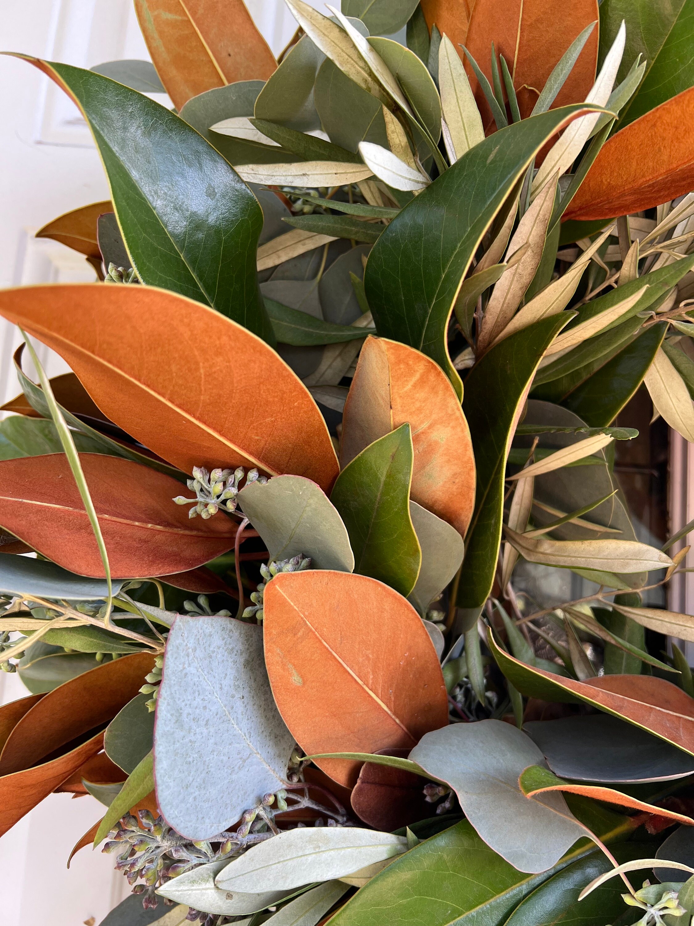 Fresh Magnolia, Seeded Eucalyptus, and Olive Fall Greenery Wreath - Thumbnail 5