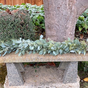 Fresh Seeded Eucalyptus Garland, Handmade with Fresh Greenery, Great for Weddings and Special Occasions image 3