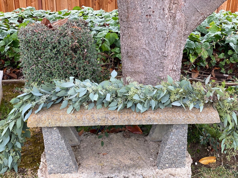 Fresh Seeded Eucalyptus Garland, Handmade with Fresh Greenery, Great for Weddings and Special Occasions image 3