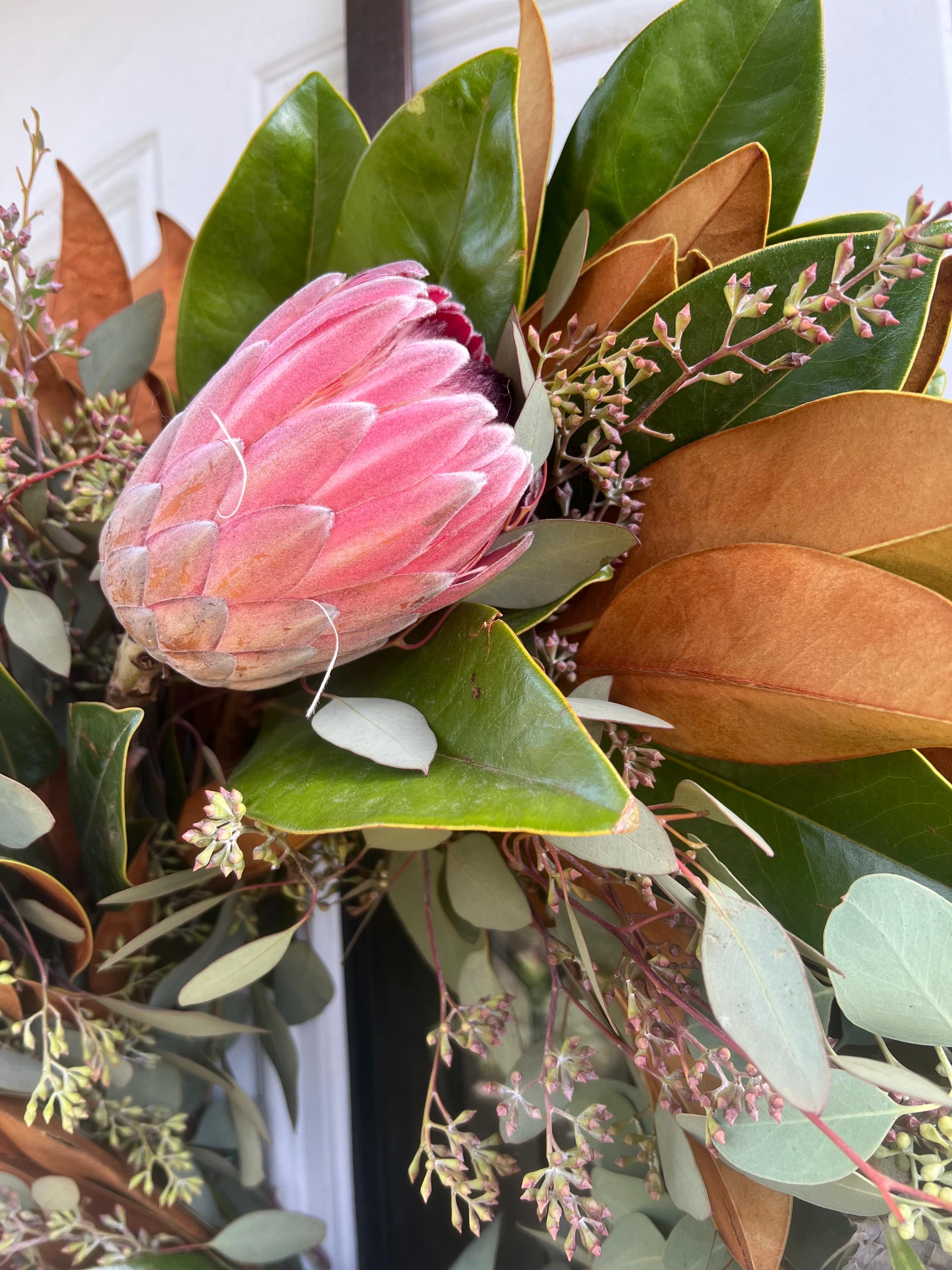 Fresh Magnolia, Seeded Eucalyptus, and Protea Fall Greenery Wreath - Thumbnail 6