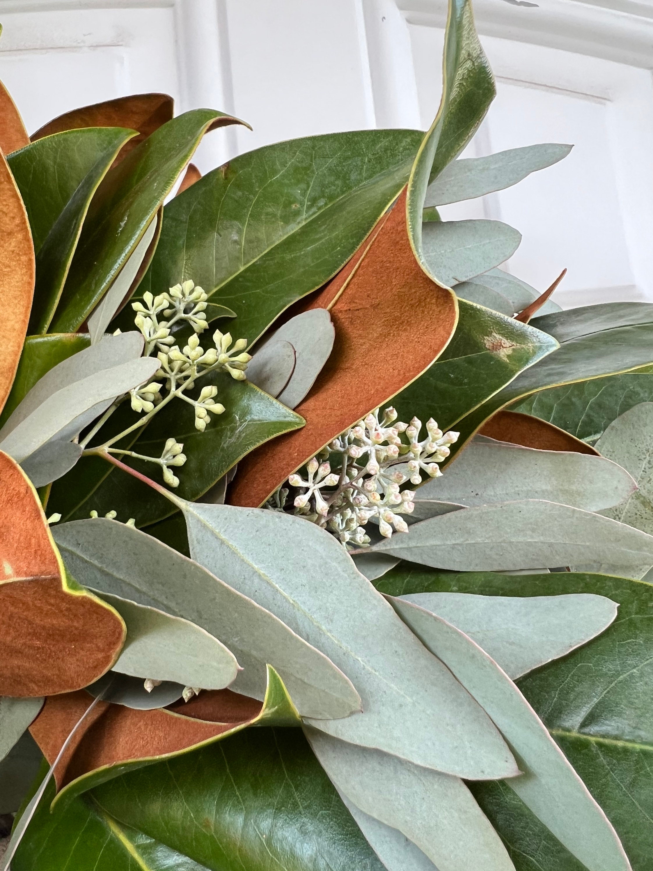 Fresh Seeded Eucalyptus and Magnolia  Wreath, Handmade with Fresh Greenery - Thumbnail 6