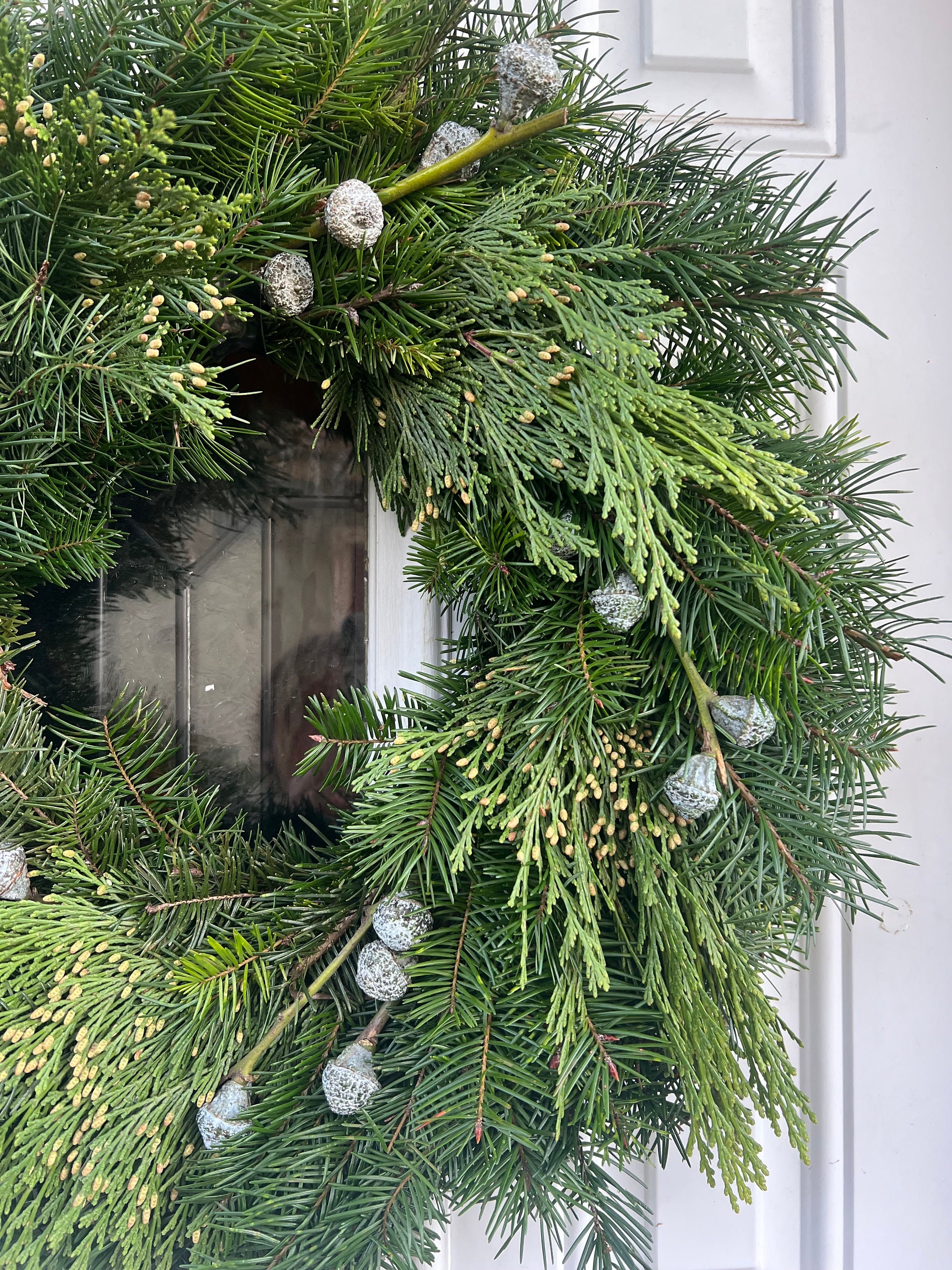 Fresh Handmade Christmas Wreath, Silver Bells, Cedar, & Fir Greenery Winter Holiday Christmas Wreath, * Nov- Jan Only* - Thumbnail 5