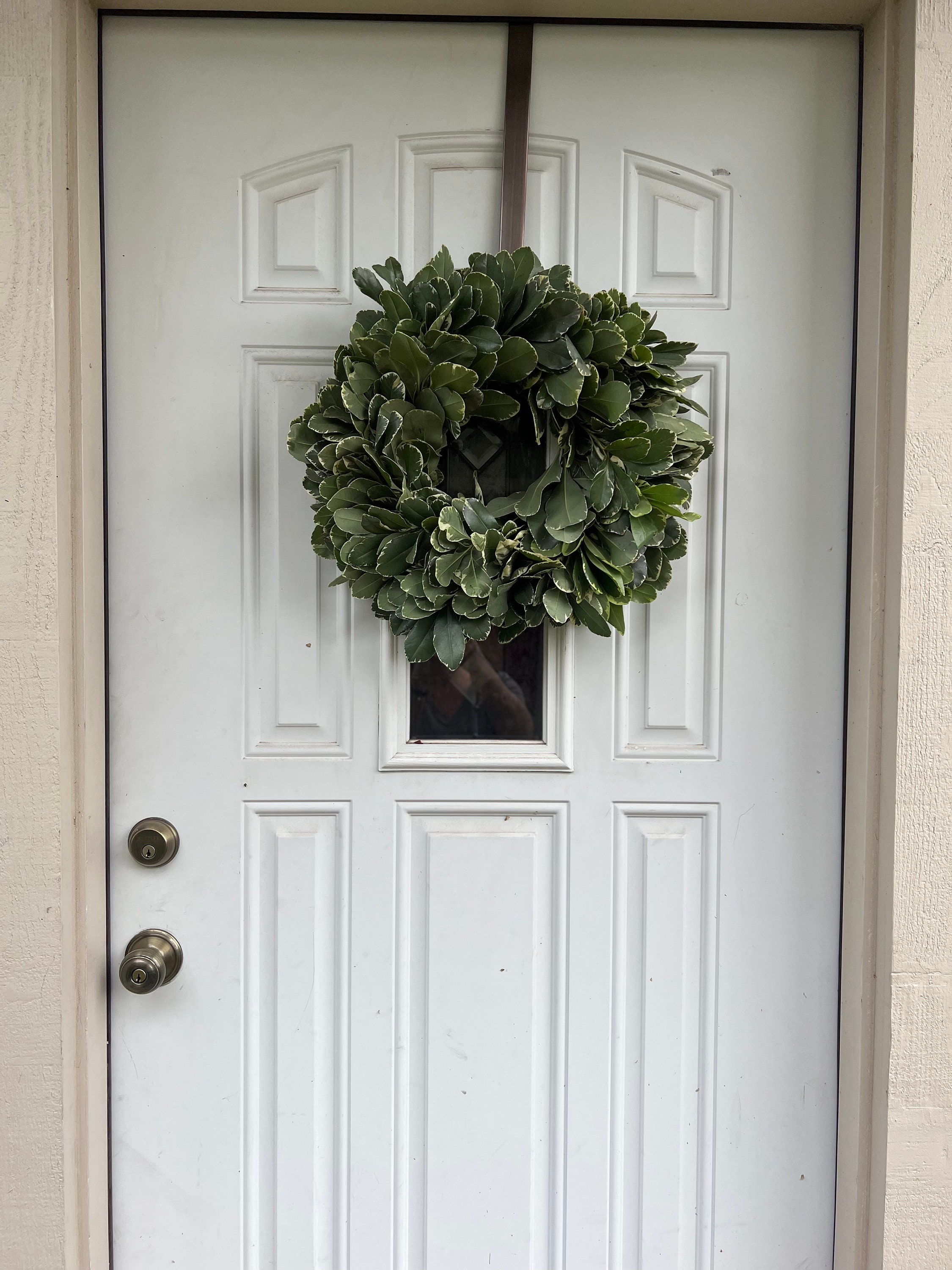 Fresh Variegated Pittosporum Wreath, Handmade with Fresh Greenery - Thumbnail 3