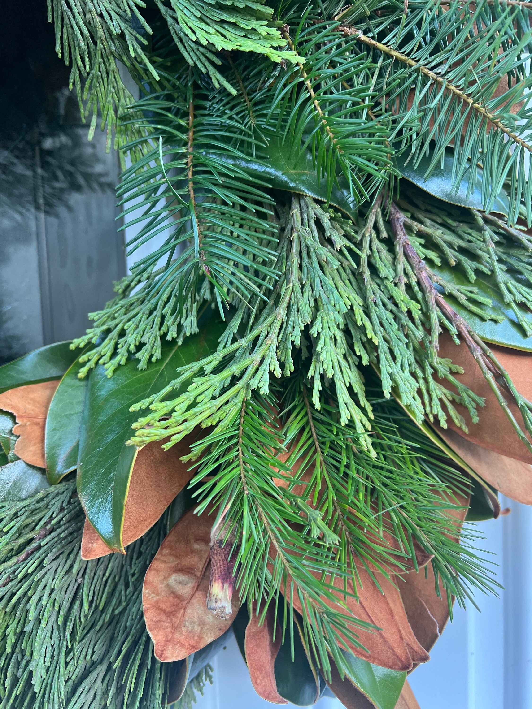 Fresh Magnolia, Cedar, and Fir Winter Greenery Wreath * available Nov- Jan* - Thumbnail 6