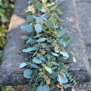 Fresh Spiral, Silver Dollar and Seeded Eucalyptus Garland, Handmade Wedding Garland