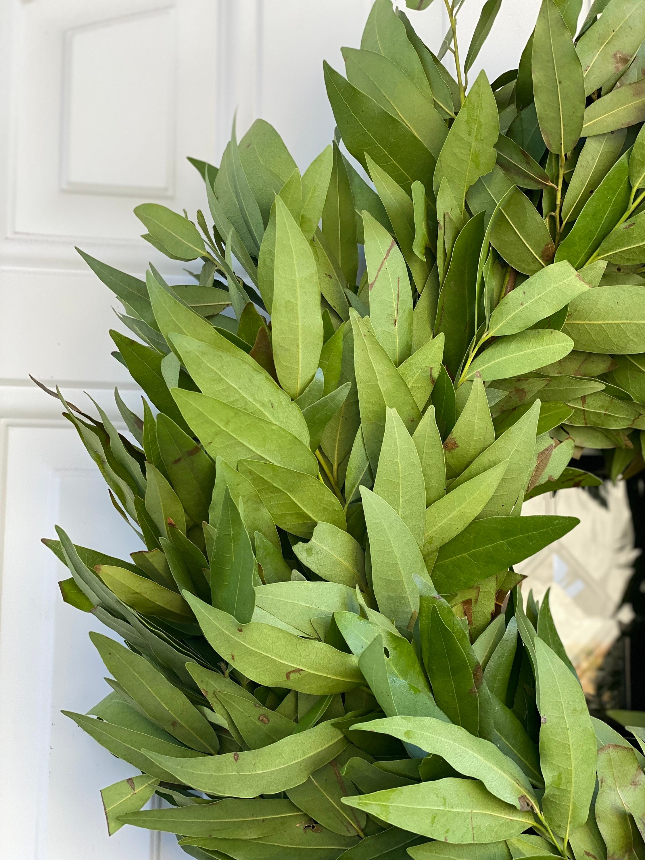 Fresh and Fragrant Handmade Bay Leaf Greenery Wreath - Thumbnail 4