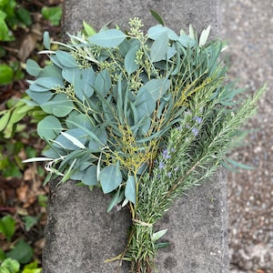 Fresh Assorted Eucalyptus and Greenery Sampler Bunch