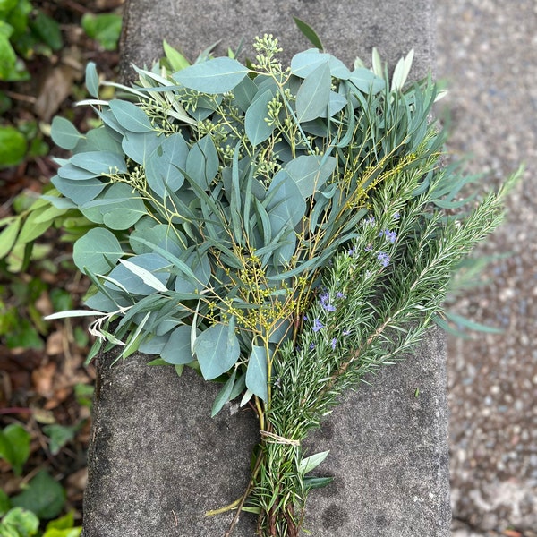 Fresh Assorted Eucalyptus and Greenery Sampler Bunch