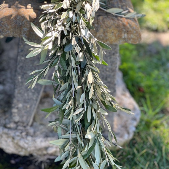 Handmade Fresh Olive Branch Greenery Garland 10 Feet for Home