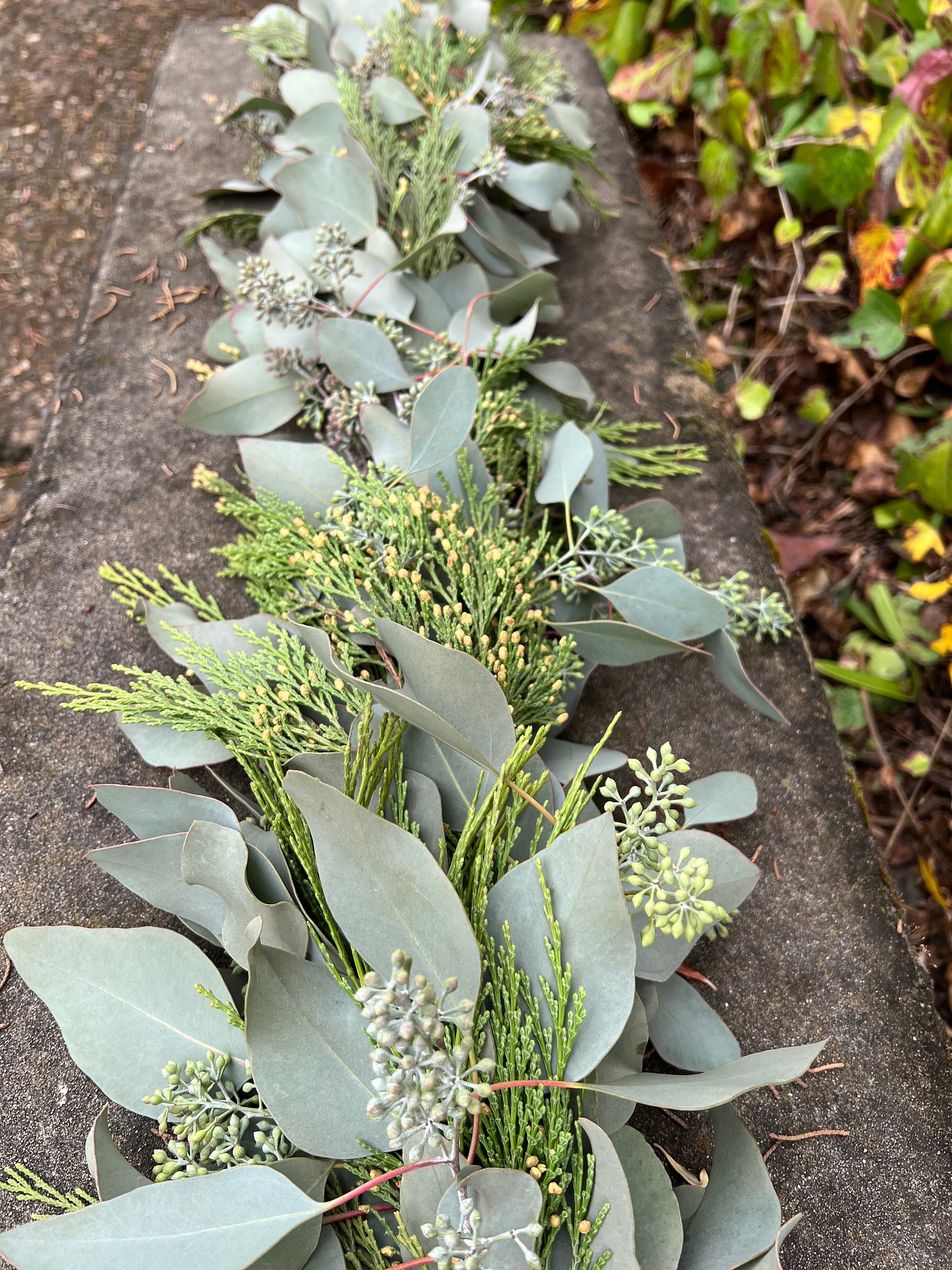 Fresh Handmade Cedar and Seeded Eucalyptus Winter Greens Christmas Holiday Garland, Nov-Jan only! - Thumbnail 4