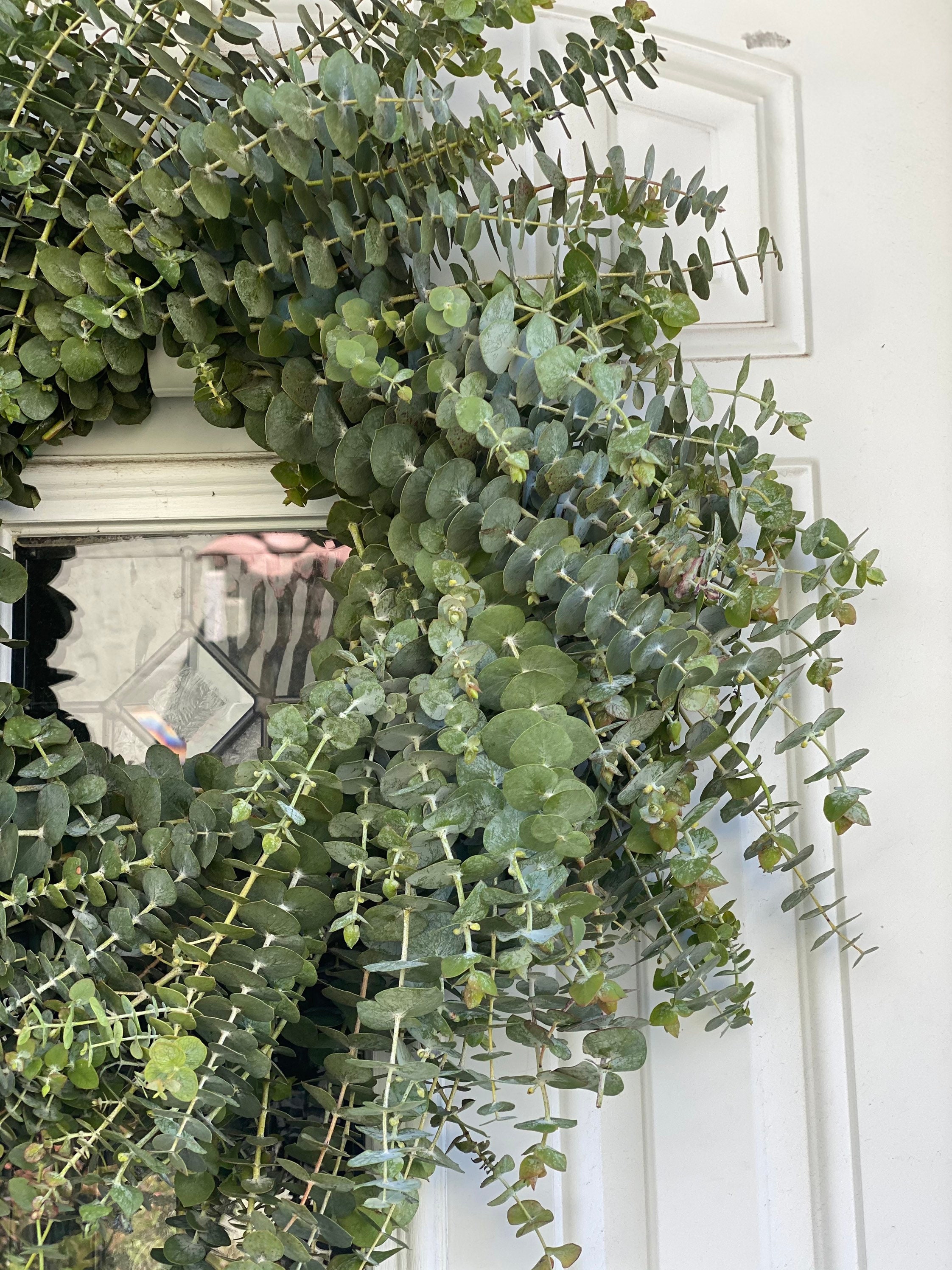 Fresh and Fragrant Handmade Spiral Eucalyptus Greenery 20 in Wreath - Thumbnail 4