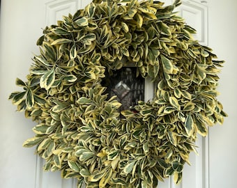 Fresh Spindle Tree Wreath, Handmade with Fresh Greenery