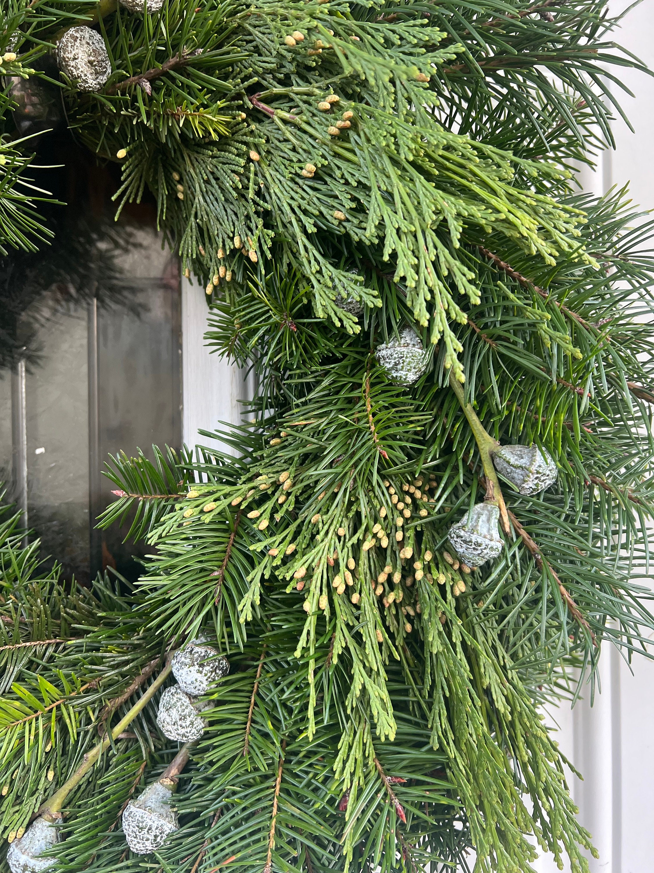 Fresh Handmade Christmas Wreath, Silver Bells, Cedar, & Fir Greenery Winter Holiday Christmas Wreath, * Nov- Jan Only* - Thumbnail 6