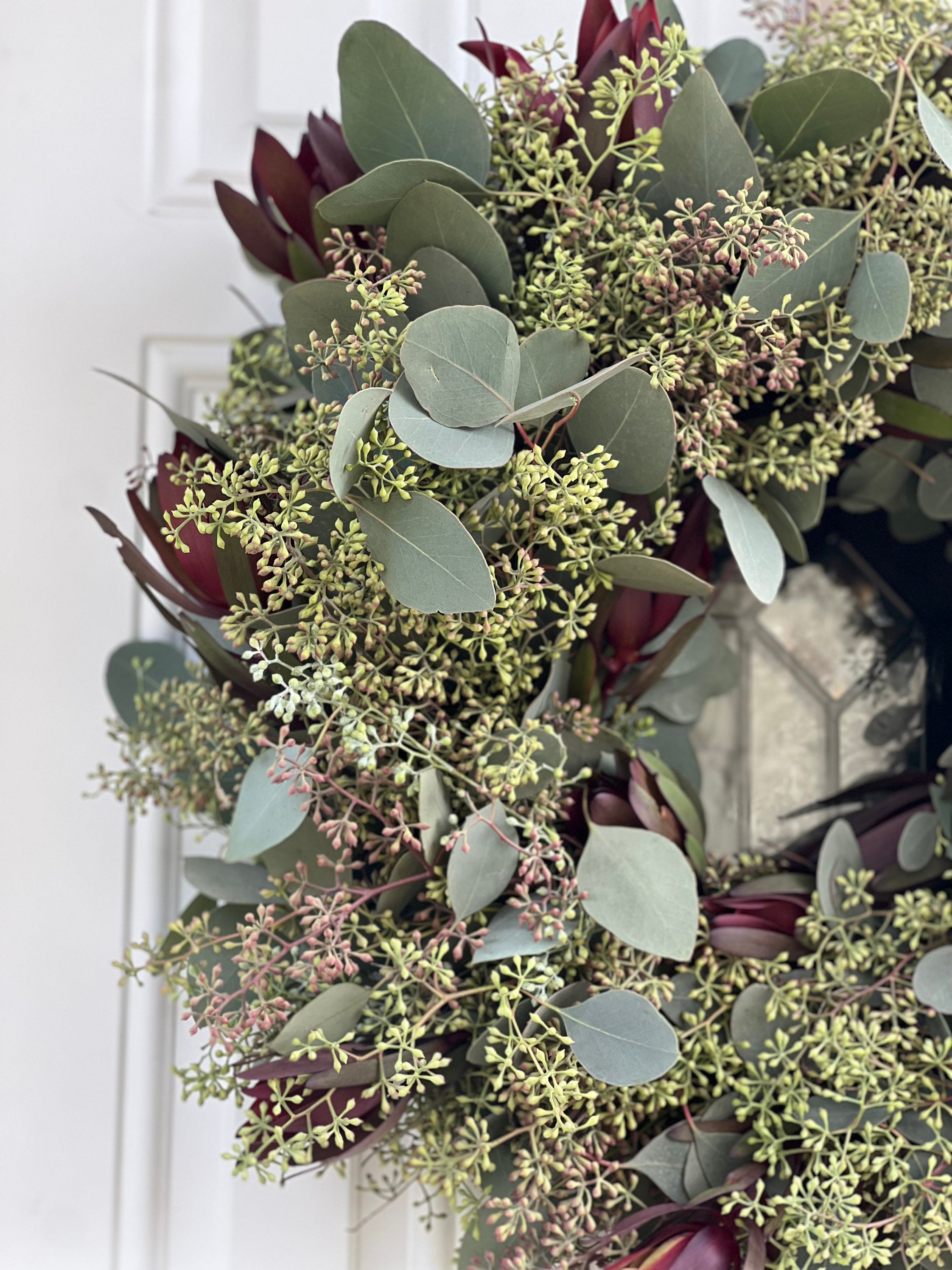 Fresh Wreath, Seeded Eucalyptus and Safari Sunset Leucadendron Winter Christmas Greenery 20 in Wreath (available year round!) - Thumbnail 3