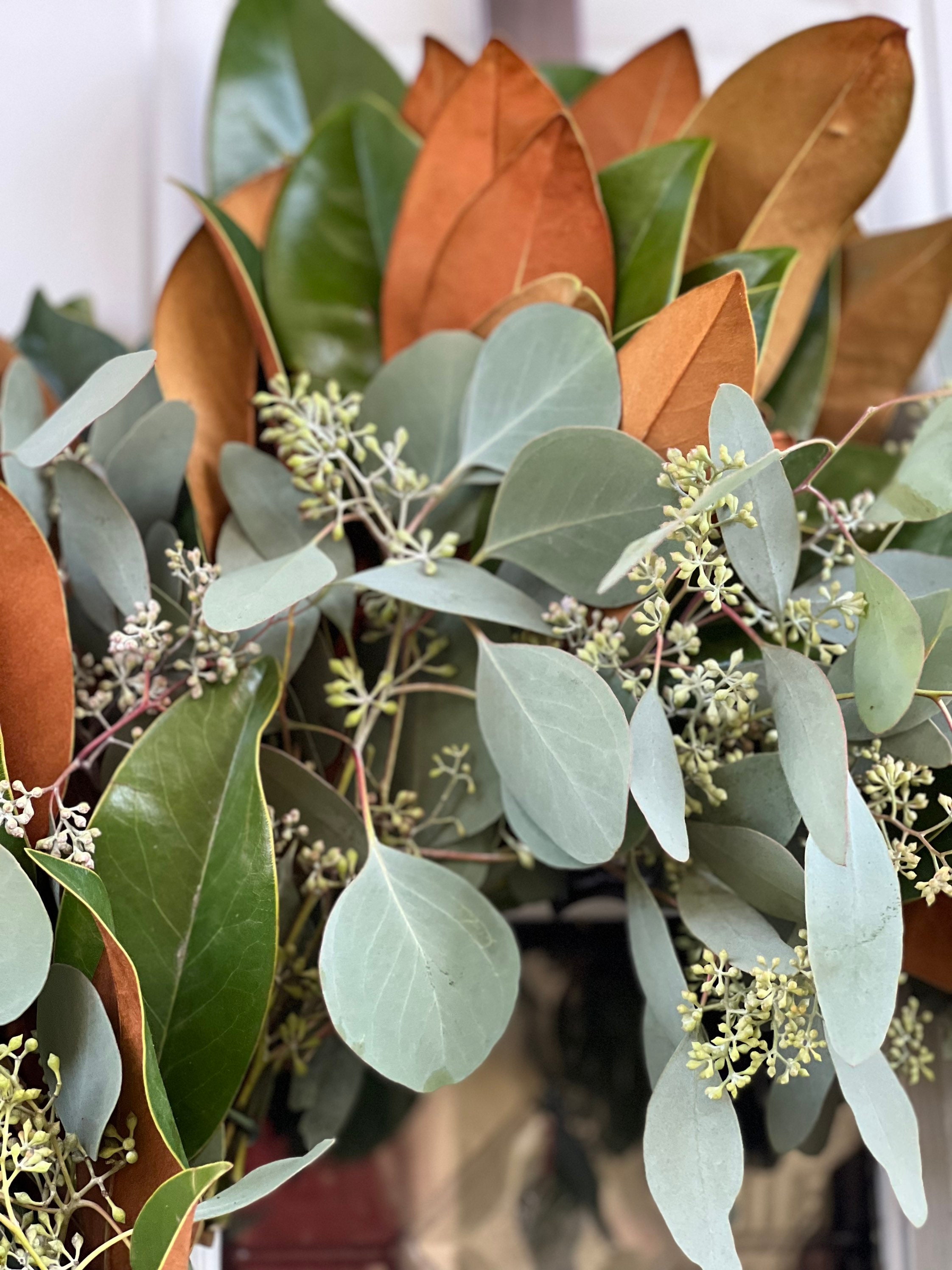 Fresh Seeded Eucalyptus and Magnolia  Wreath, Handmade with Fresh Greenery - Thumbnail 5