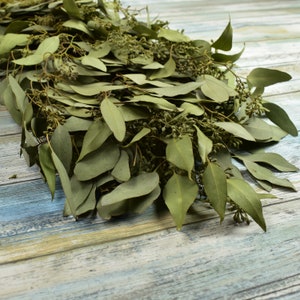 Dried Single Greenery Garland, Choose from Six Different types of Greenery!