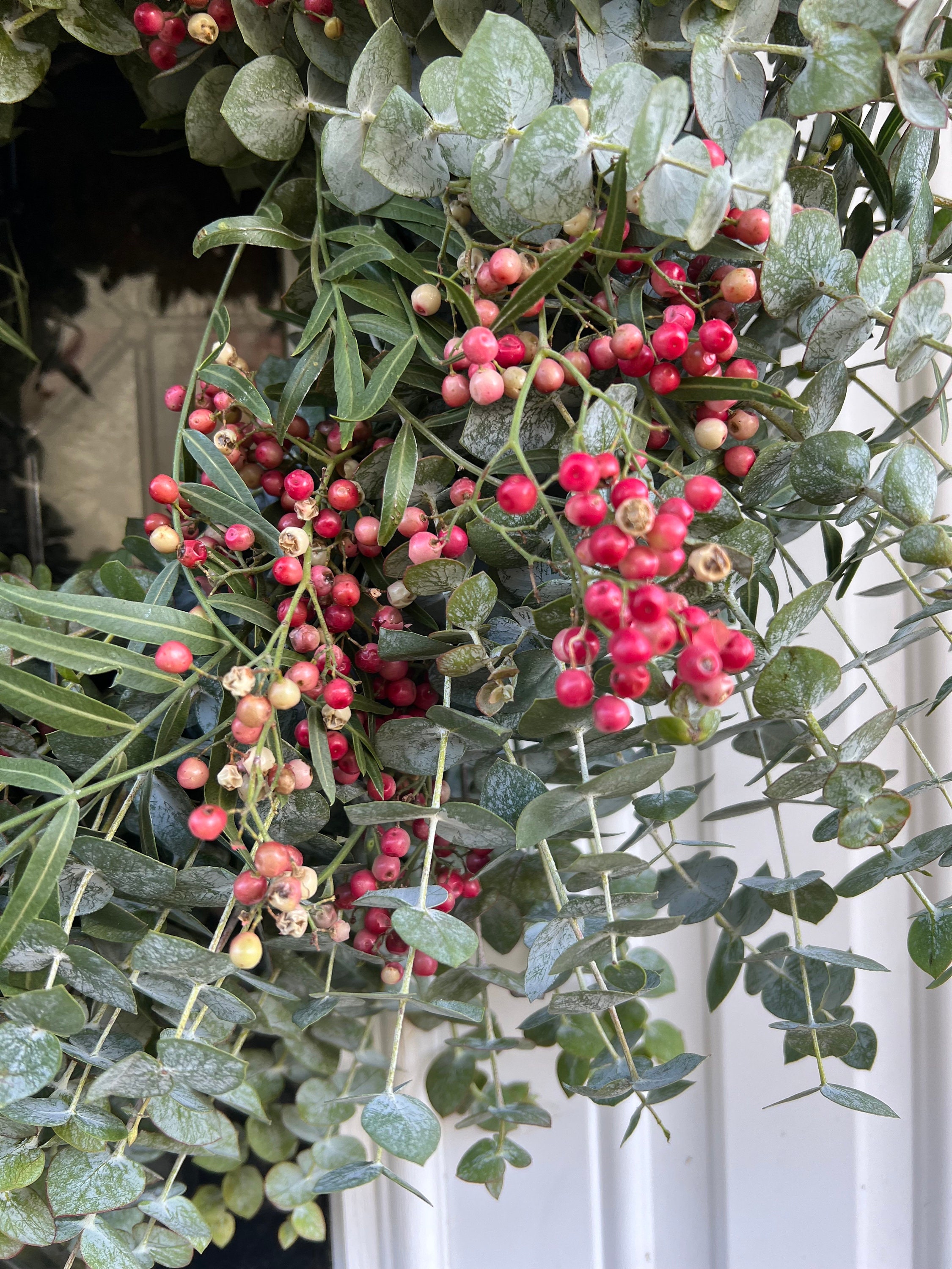 Fresh and Fragrant Wreath, Spiral Eucalyptus and Pepperberry Winter Christmas Greenery Wreath (available year round!) - Thumbnail 6
