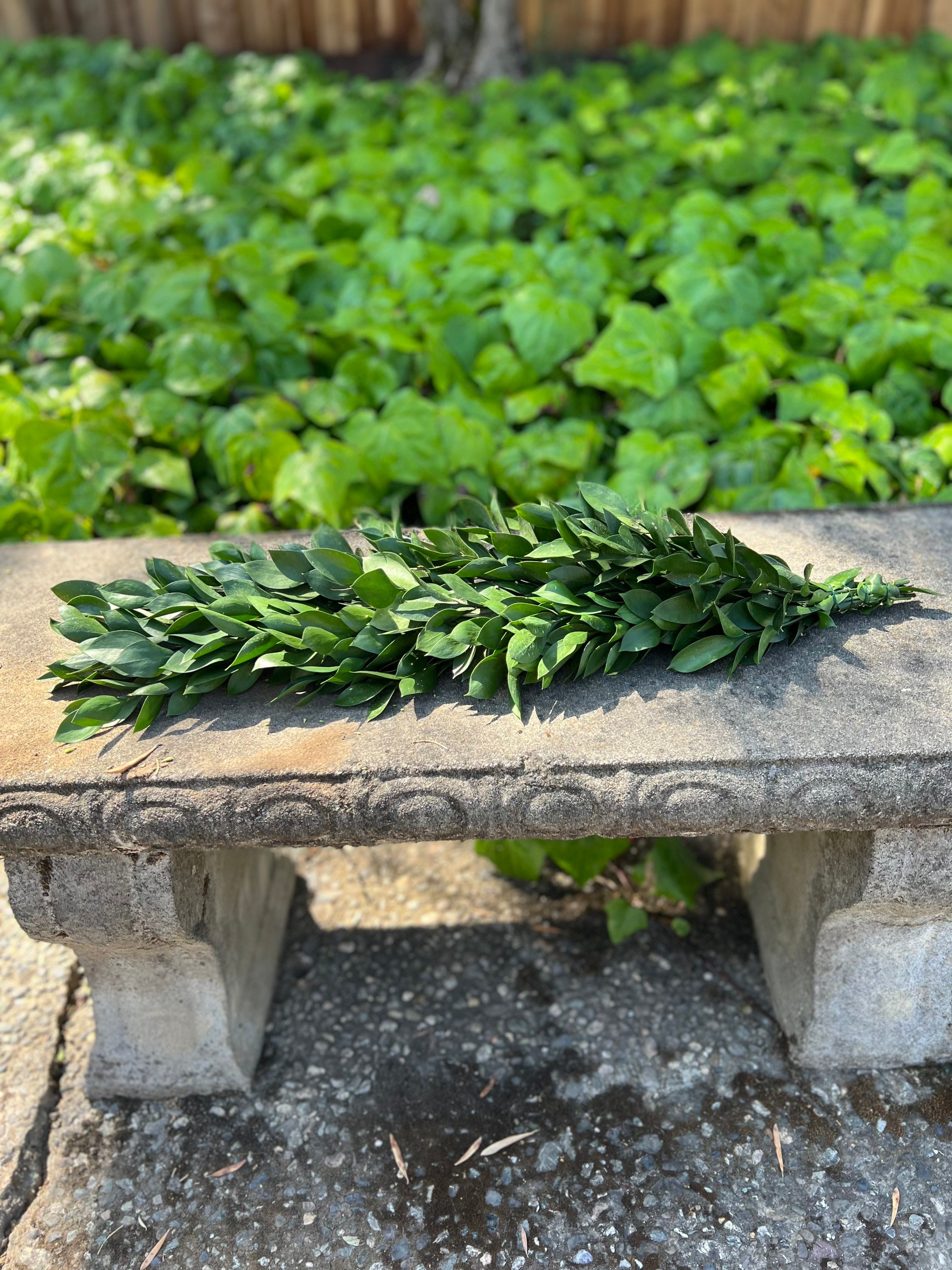 Fresh Handmade Ruscus Garland, Great for Weddings and Events! - Thumbnail 5