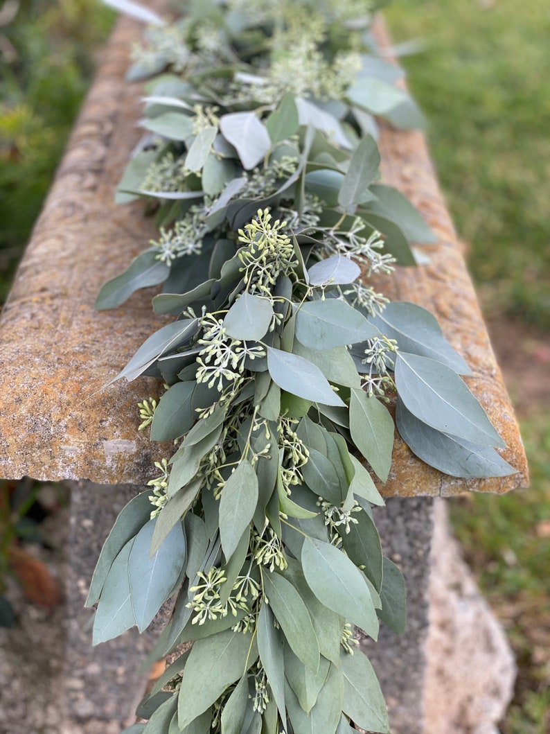 Fresh Seeded Eucalyptus Garland, Handmade with Fresh Greenery, Great for Weddings and Special Occasions image 1