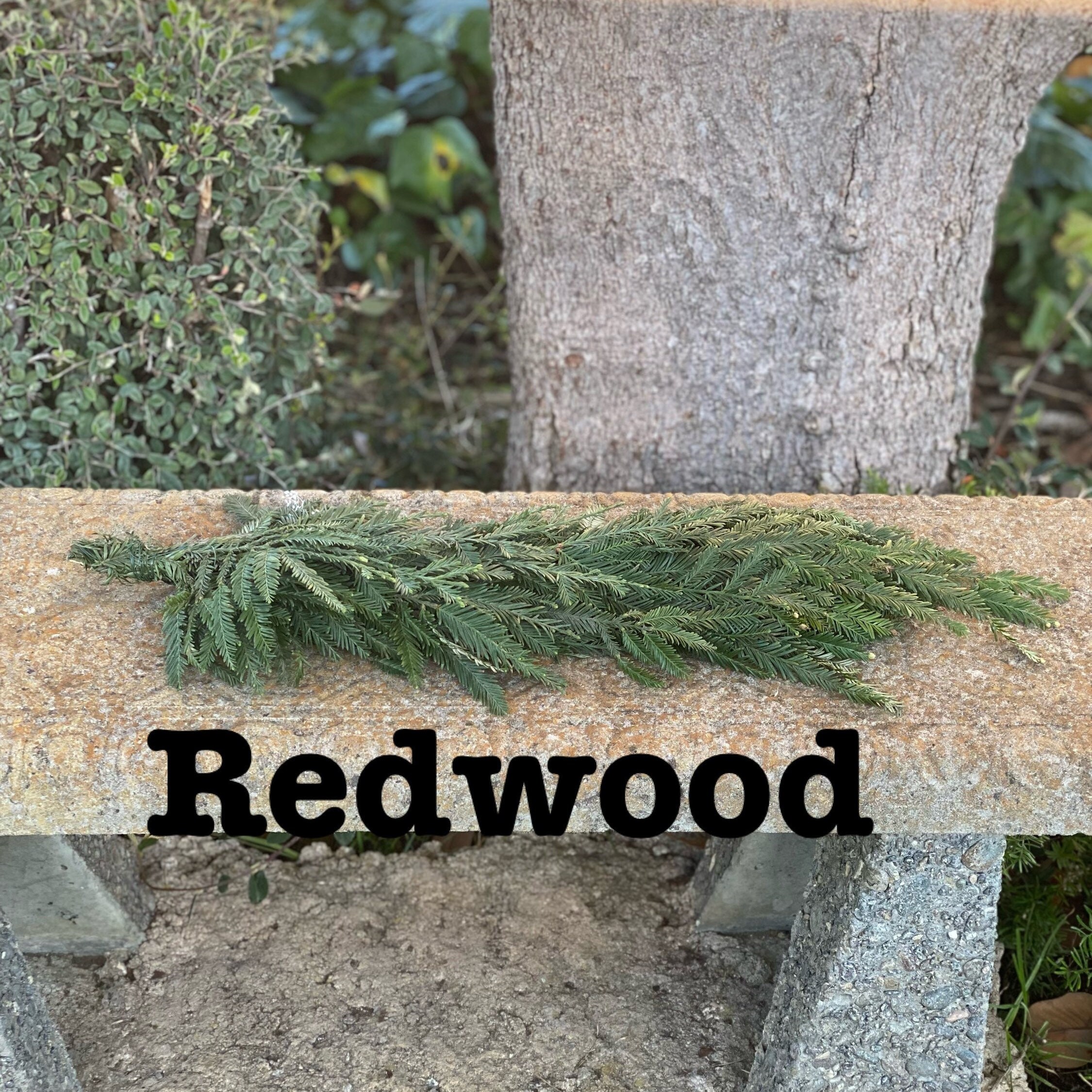 Fresh Christmas Winter Greens- Fresh Christmas Garland, Nov-Jan Only, Cedar, Redwood, Pine and more to choose from! - Thumbnail 2