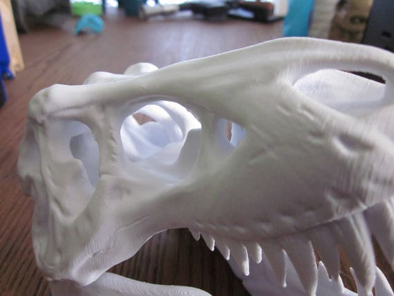 t rex skull 3d print