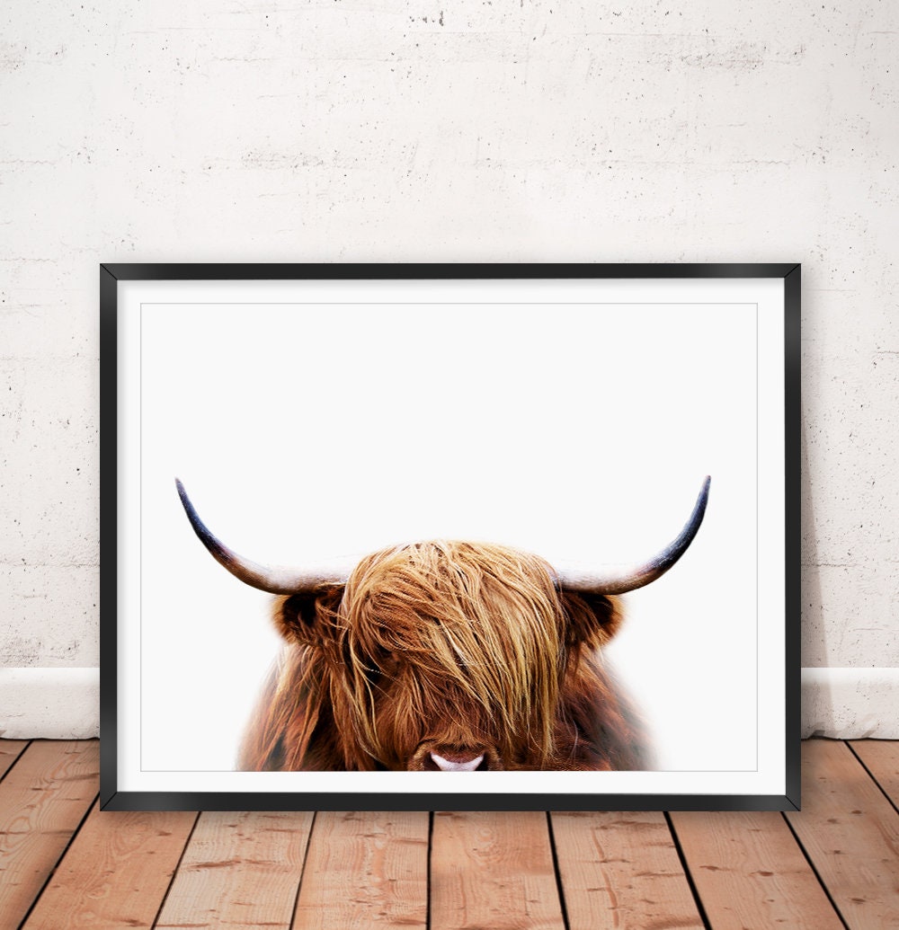 Highland Cow Print Printable Wall Art Highland cattle Art Etsy