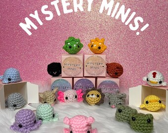 Mystery Mini Plushie| Crochet Mini Plushie| Mystery Plush | Basket Filler | Surprise Gifts For Kids and Tweens| Gatcha