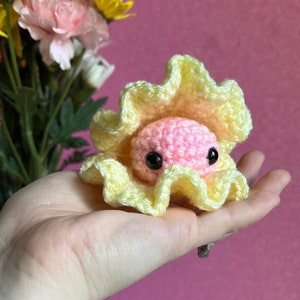 Mini Clam Plush Toy | Clam Stuffed Animal | Oyster Plush
