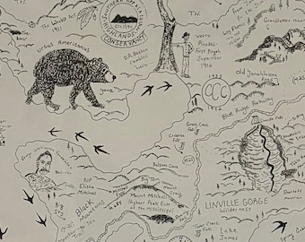 Guía para excursionistas del Bosque Nacional Pisgah (Parte de la Trilogía de los Apalaches del Sur)