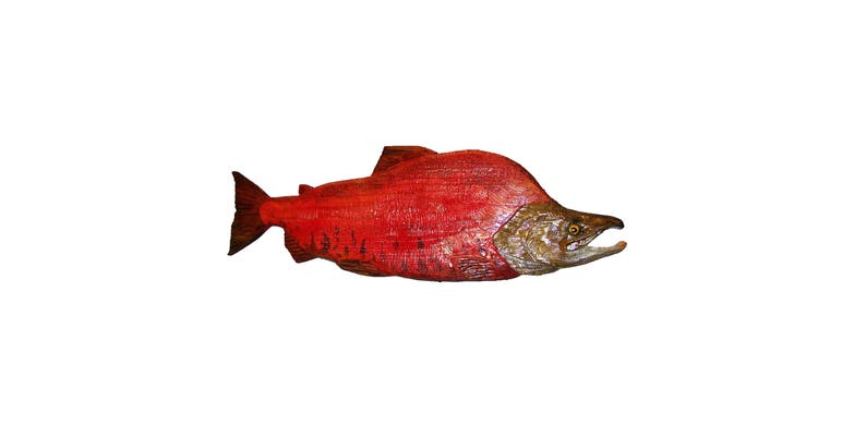 Custom Carved Sockeye Salmon Wall Art Mount Replica Fish Etsy