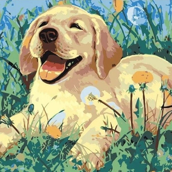 Golden Retriever Paint by Number Kit - Etsy