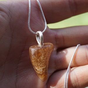 Peut inclure: Un collier en chaîne argent avec un pendentif en pierre naturelle brun et pointu.
